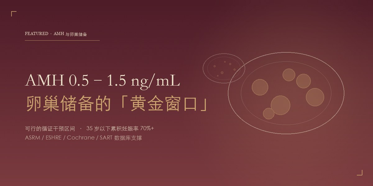 AMH 卵巢储备评估
