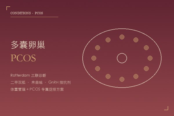 多囊卵巢 PCOS